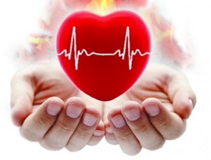 Сердечно-сосудистые заболевания и их профилактика
