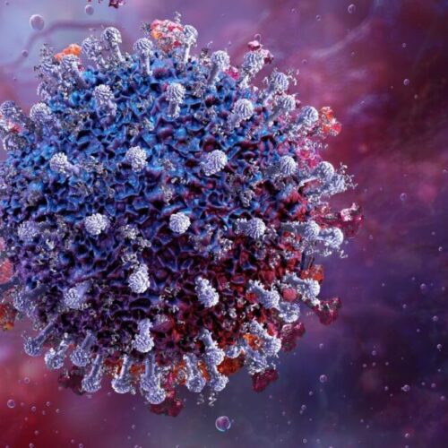 covid_small-1024x655 Новый вирус «Стратус»