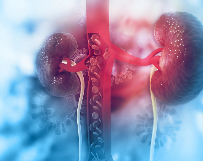 47eccbabbac7e0215e5a6e546f41af48 Диабетическая нефропатия: как защитить свои почки