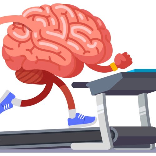 Физическая активность и мозговая деятельность