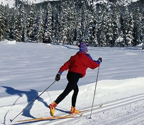 О пользе катания на лыжах для здоровья