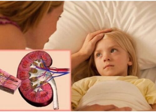 Профилактика заболеваний почек и мочевыводящих путей у детей