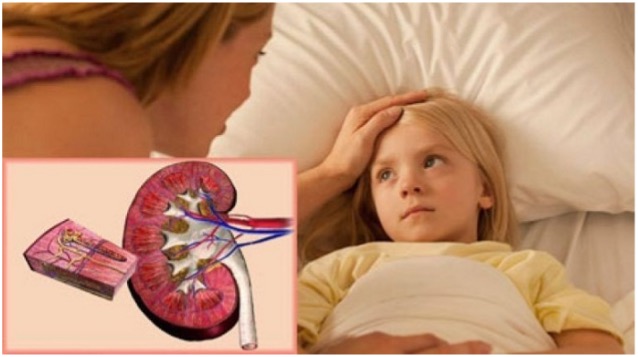 Профилактика заболеваний почек и мочевыводящих путей у детей