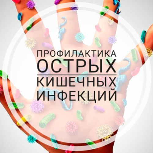 zastavka_0-805x503 Меры по профилактике острых кишечных инфекций